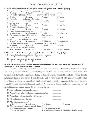 Ôn tập kiểm tra học kỳ 2 môn Tiếng Anh Lớp 9 - Đề số 2