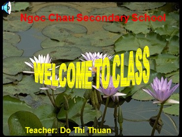 Bài giảng môn Tiếng Anh Lớp 7 - Unit 9: Festivals around the world - Lesson 3: A closer look 2