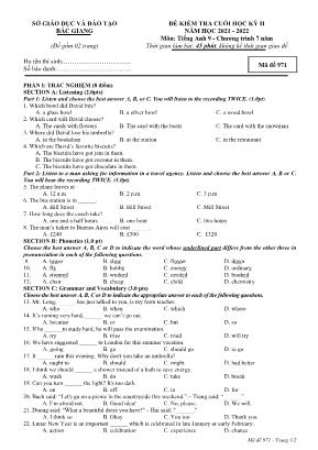 Đề kiểm tra cuối học kỳ II môn Tiếng Anh 9 (C