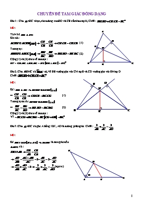Đề ôn tập môn Toán Lớp 8 - Chuyên đề: Tam giác đồng dạng