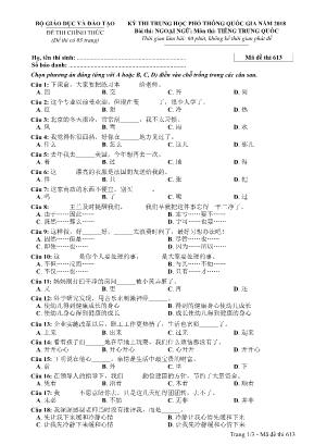 Đề thi Trung học phổ thông quốc gia năm 2018 môn Tiếng Trung Quốc - Mã đề thi 613 (Kèm đáp án)