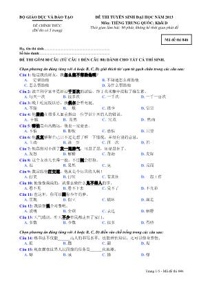 Đề thi tuyển sinh Đại học năm 2013 môn Tiếng Trung Quốc Khối D - Mã đề thi 846 (Kèm đáp án)