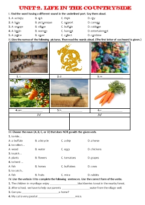 Ôn tập môn Tiếng Anh Lớp 8 (Global Success) - Unit 2: Life in the countryside