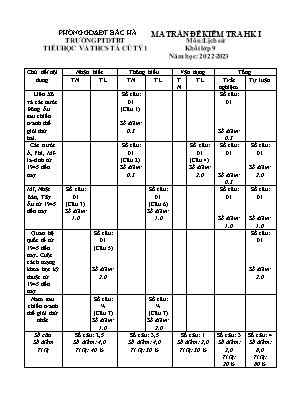 2 Đề kiểm tra học kì I Lịch sử 9- Năm học 202